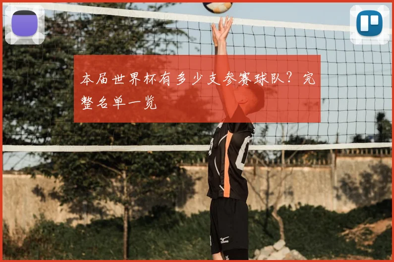 本届世界杯有多少支参赛球队？完整名单一览