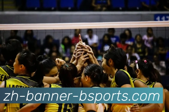 B体育APP 封面图